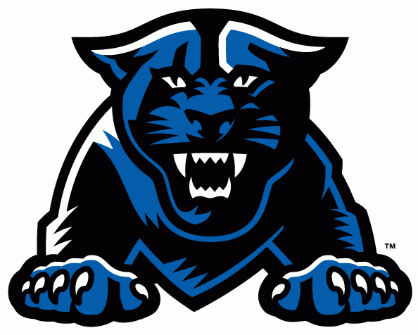 Georgia State Panthers 2010-Pres Partial Logo iron on transfers for T-shirts